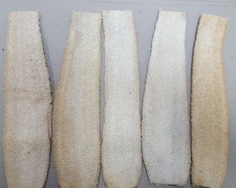 5-Luffa 16''inches +-  Large Natural Loofah -- Loofa Bath Shower Sponge (BRAND NEW)