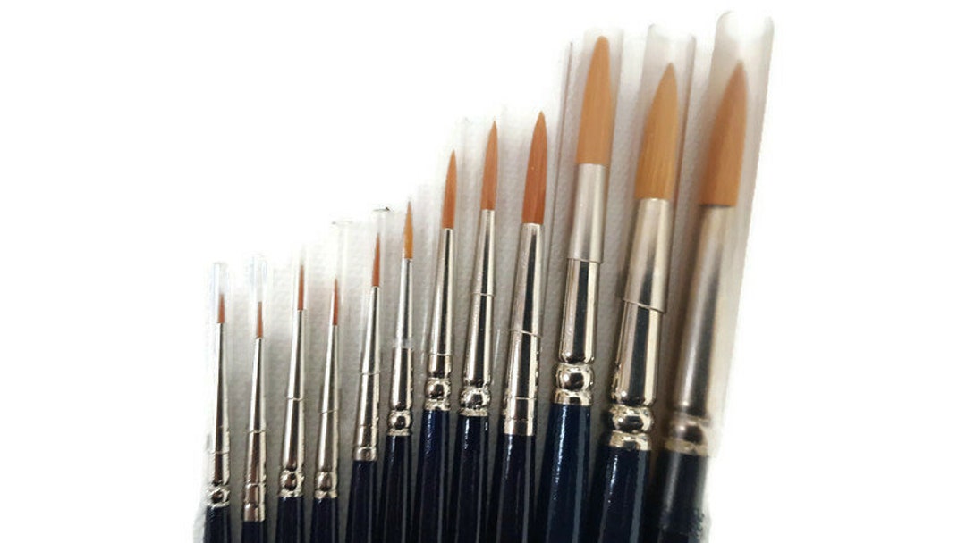 Paint Watercolor Brushes, SAREAL Professional Watercolor Artist