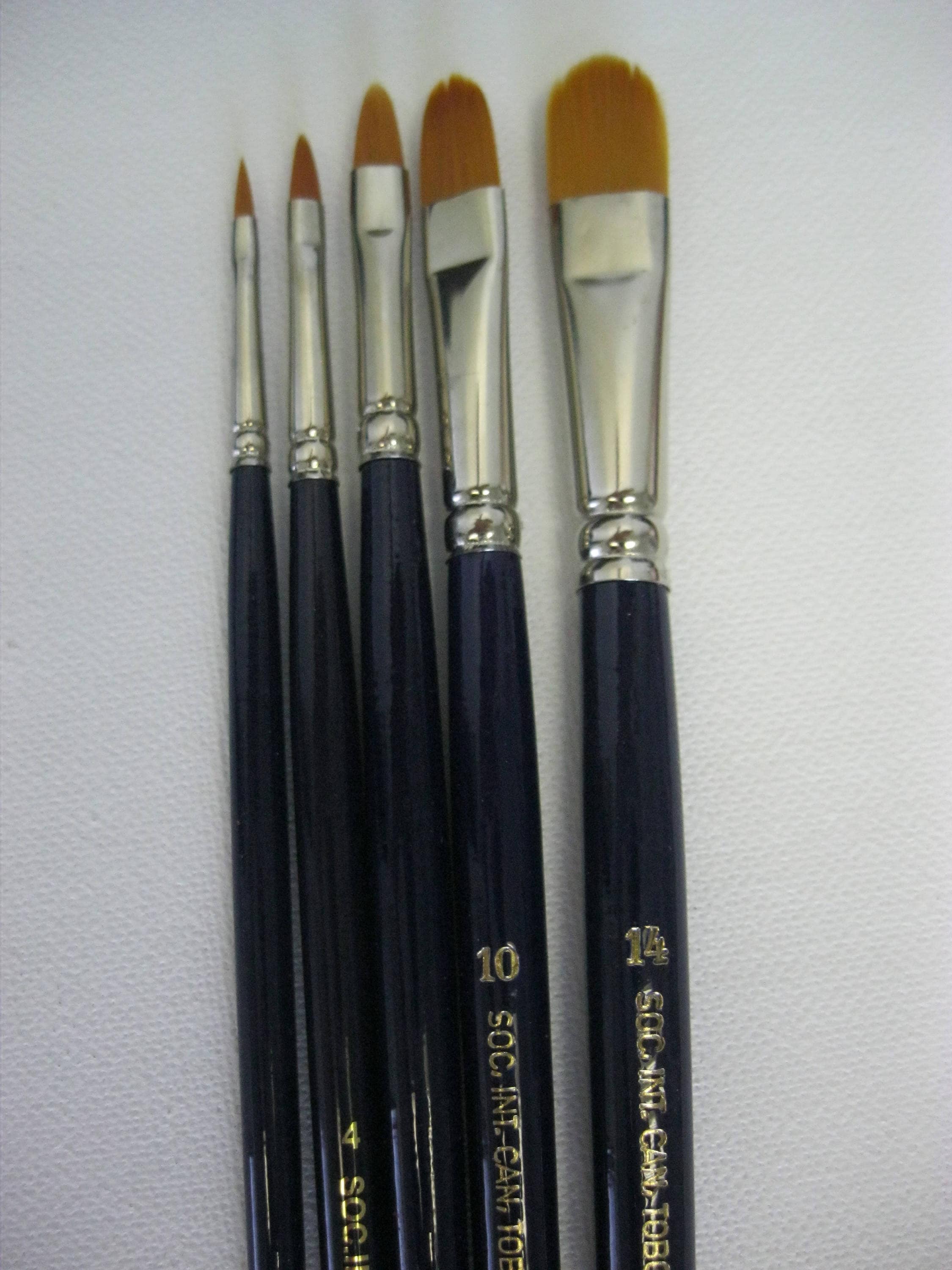 Professional Oil Paint Brushes (6-pcs Set) Filbert Brushes - Long-Lasting
