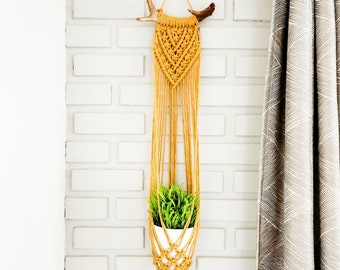Macrame Plant Hanger on Antler: Boho Tassel Decor