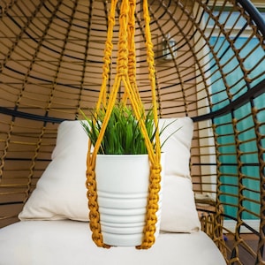May include: A yellow macrame plant hanger with a white pot and green plant hanging from a wicker chair.