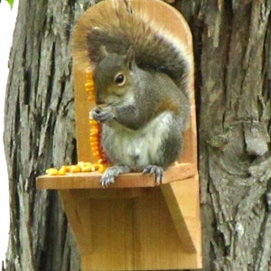 Cedar Squirrel Feeder