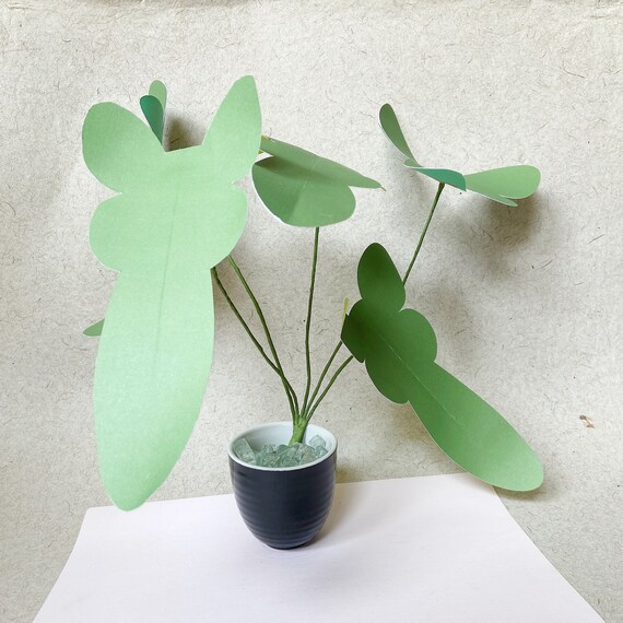 Faux Houseplant - Burle Max Philodendron Paper Plant, Plantlover Gift, Plant  Home Decor, Rare Philodendron Plant Gift, Xmas Gift Plant - Etsy