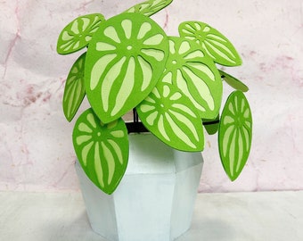 Faux Houseplant - Paper Peperomia, Unique Mothers Day Flowers, Plants Home Decor, Plant Lover Gift, Plant Home Dec, Boho Gift for Mom