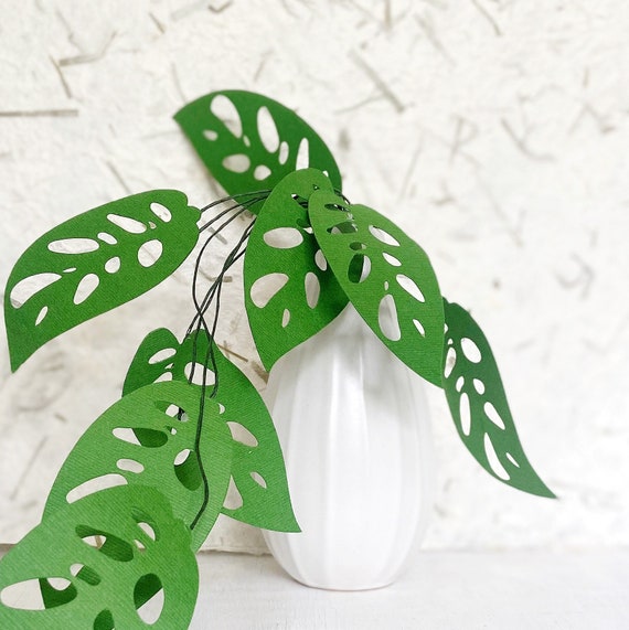 DIY Craft Kit- Paper Monstera Craft Kit, DIY Plants , Kit for Teens Adults Kids, Plant Lover DIY Kit, PaperPlants Kit, HandmadeChristmasGift
