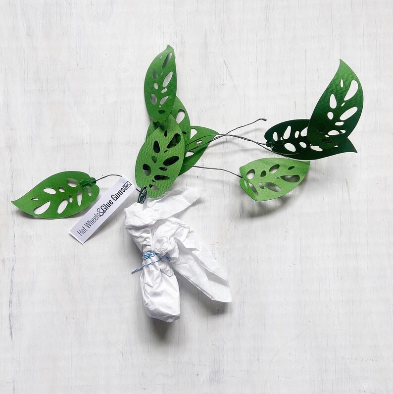 DIY Craft Kit- Paper Monstera Craft Kit, DIY Plants , Kit for Teens Adults Kids, Plant Lover DIY Kit, PaperPlants Kit, HandmadeChristmasGift Bild 3