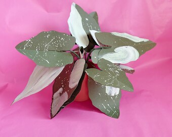 Faux Paper Houseplant - Christmas Plant Gift, Syngonium Albo, Paper Plant , Plant Lover Gift, Plant Home Decor, Paper, Houseplant Gift