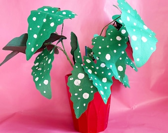 Faux Paper Houseplant - Polka Dot Begonia, Christmas Plant Gift, Colorful paper Plants for Home Decor, Plant Lover Gift, Plant Home Decor