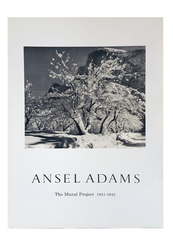 Ansel Adams B//W Photo Snow Covered Apple Orchard Wall Picture 8x10 Art Print