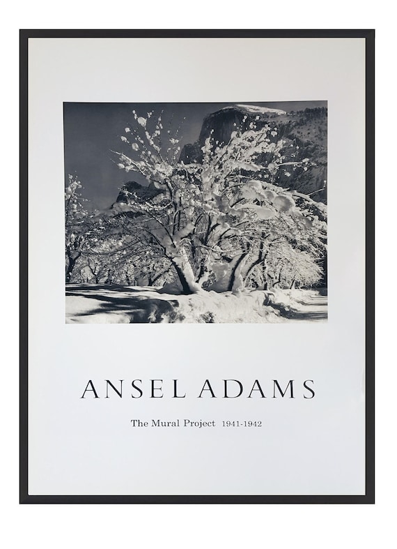 Ansel Adams B//W Photo Snow Covered Apple Orchard Wall Picture 8x10 Art Print