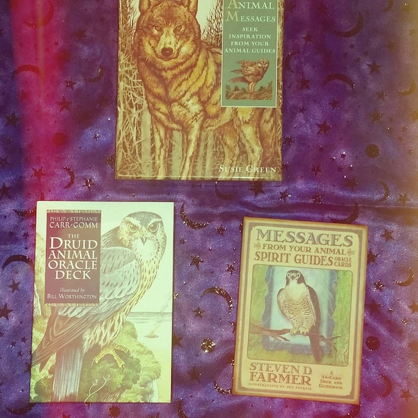 Animal Oracle Card Reading