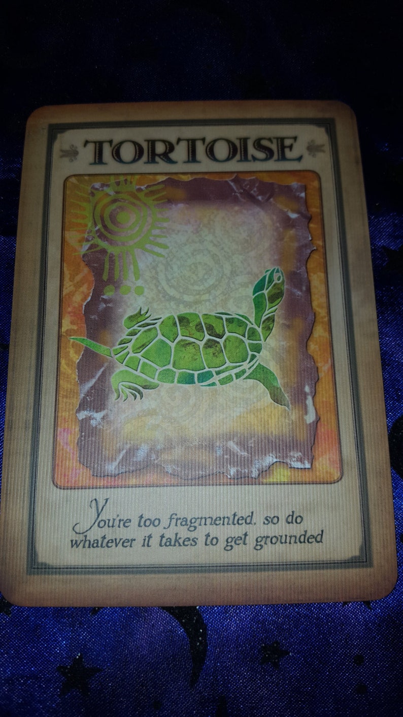 May include: A rectangular card with the word "TORTOISE" in large capital letters. A green turtle illustration is in the center, with a sun-like design to the left. Text on the right side reads, "You're too fragmented, so do whatever it takes to get grounded."