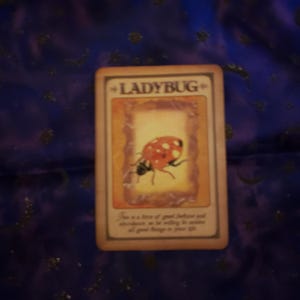 May include: A rectangular card with the word "LADYBUG" at the top. The card features an illustration of a ladybug with red and black markings. Text at the bottom reads, "This is a time of good fortune and abundance, so be willing to receive all good things in your life."