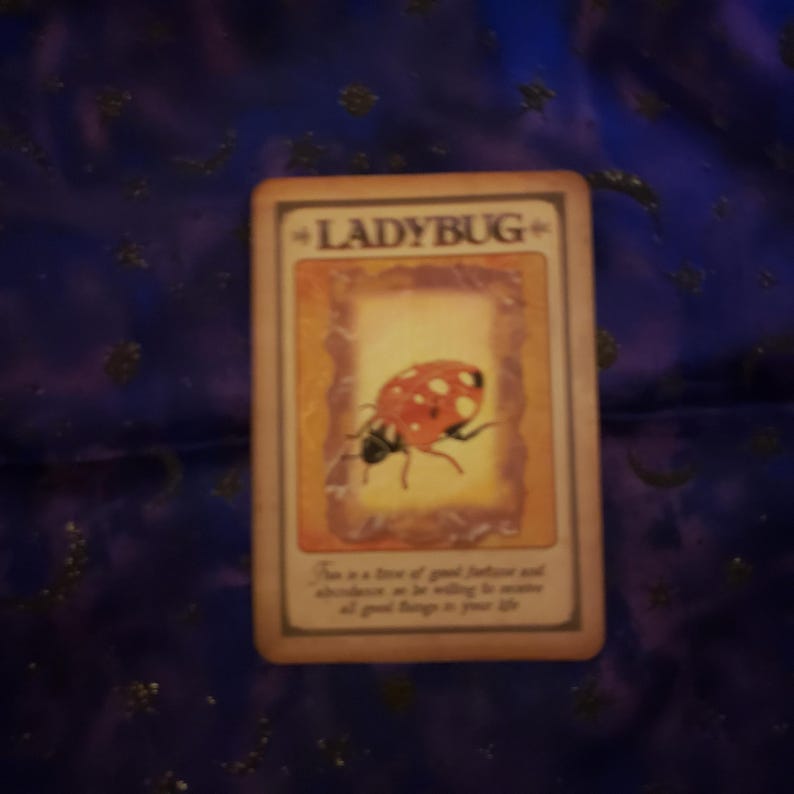 May include: A rectangular card with the word "LADYBUG" at the top. The card features an illustration of a ladybug with red and black markings. Text at the bottom reads, "This is a time of good fortune and abundance, so be willing to receive all good things in your life."