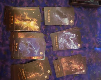 Spirit Animal Guidance 1 Card Reading per day Monthly Reading