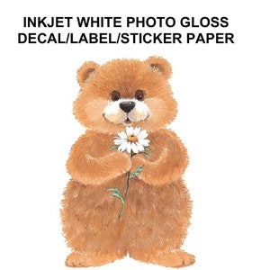 ON SALE!  INKJET White Gloss Quality Photo Self Adhesive Decal/Sticker Paper - Make Any type Decal You Want to Make - Shipping is Free!
