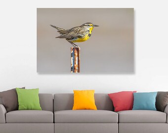 Western Meadowlark Songbird Fine Art Print, Bird Nature Wildlife Photography, Wallart Photo Printable, Home Office Decor, Bird Lover Gift