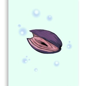May include: A purple and pink clam shell with a light blue background and white circles.