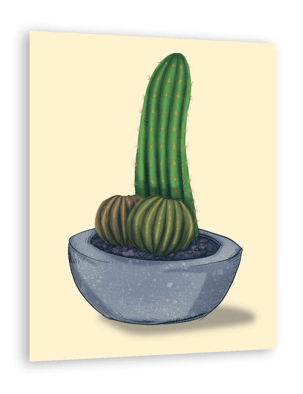 Sexy cactus print - Etsy.de