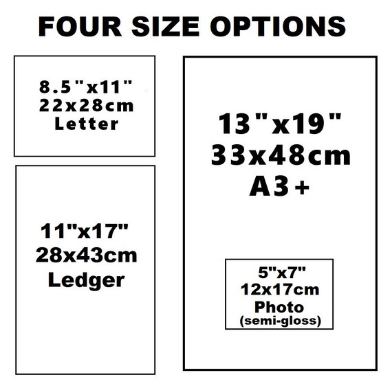 CREEPERS & CLIMBERS CHART SIZE 12X18 (INCHS) 300GSM ARTCARD