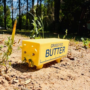 May include: A yellow, rectangular object with the words "GRASS FED BUTTER" in blue. The object has small legs and a face, resembling a cartoon character. The object is sitting on the ground outdoors.
