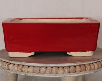 Red Deep Medium bonsai pot.