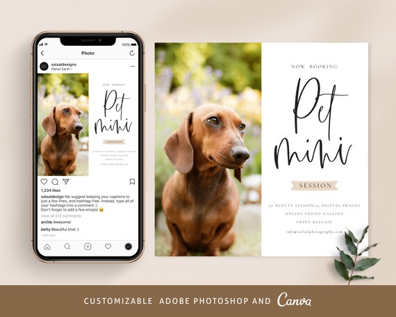 Pet Mini Session Template Canva and Photoshop Template Animal - Etsy New Zealand Pet Mini Session Template Canva and Photoshop Template Animal - Etsy New Zealand