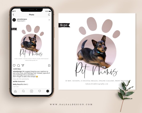 Graphic Design Animal Photography Pet Photographer 3 Photography Templates Pet Photography Mini Session Marketing Templates Photoshop Templates Paper & Party Supplies Graphic Design Animal Photography Pet Photographer 3 Photography Templates Pet Photography Mini Session Marketing Templates Photoshop Templates Paper & Party Supplies