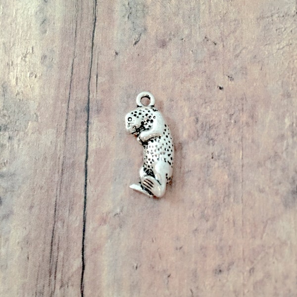 5 Otter charms (2 sided) zinc alloy - B14