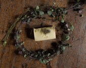 Natural Soap, Spirulina, Cucumber, Neem and Tea Tree Facial Soap for Oily Skin, Spots, Blackheads