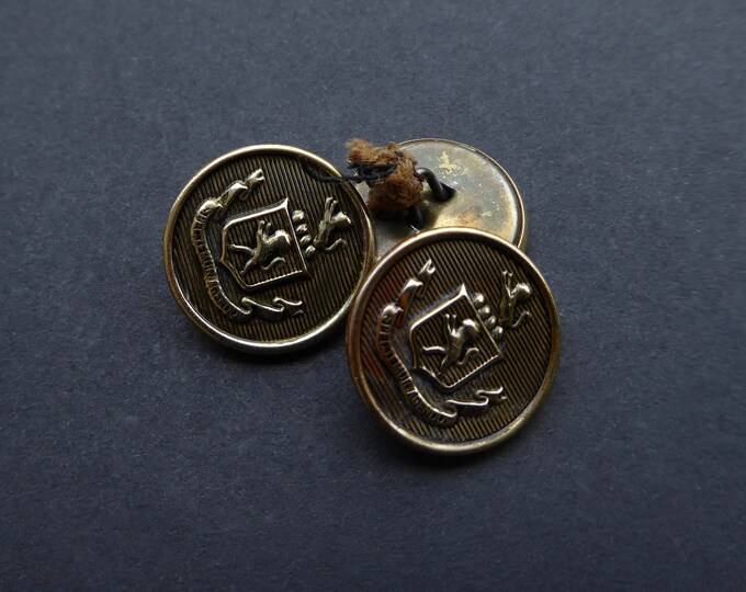 Lot of 3 vintage military buttons. Spectemur Agenda. Lion shank button.