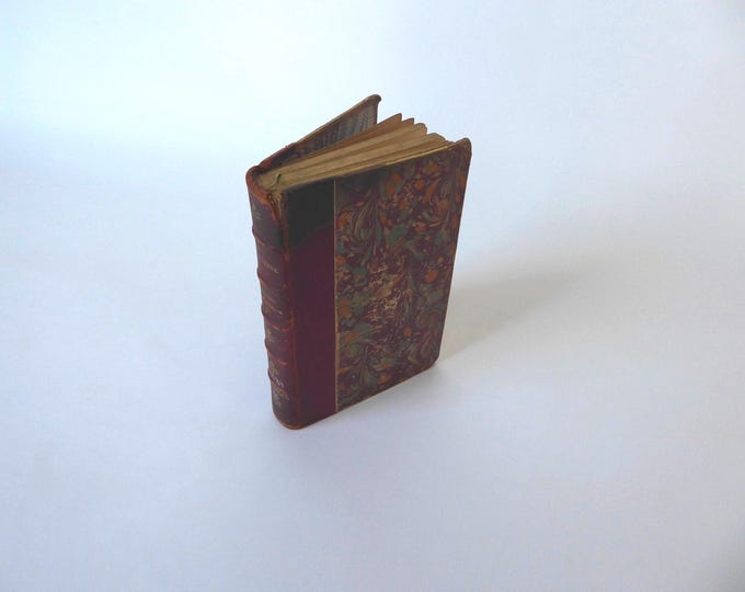 The Testament of an Eccentric. Jules Verne. Part Two. Undated. Circa 1910. Illustrations by Georges Roux. Adventure book.