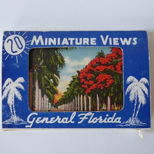 Photos souvenir Foride. 19 Miniature views General Florida.Année 30. Flamant rose. Alligator. The singing tower.Palmier.Purple bougainvillea