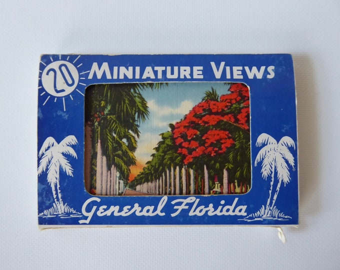 Souvenir photos Foride. 19 Miniature views General Florida. Year 30. Pink flamingo. Alligator. The singing tower. Palm tree. Purple bougainvillea