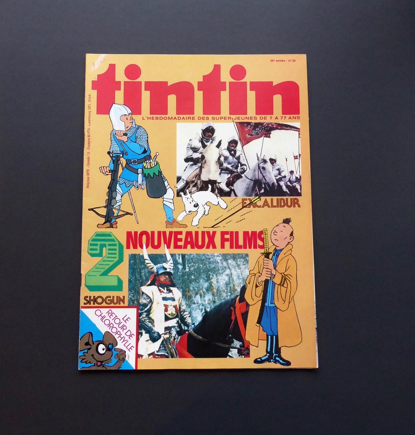 Les Dossiers - Tintin de 7 à 77 ans 