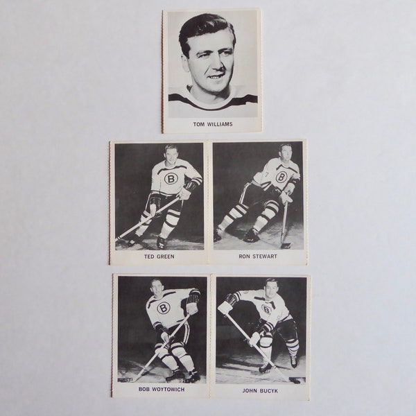 Lot Hockey NHL Coca-Cola 1965-1966 cards. Boston Bruins. John Buck. Bob Woytowich. Tom Williams. Ted green. Ron Stewart. Vintage hockey.