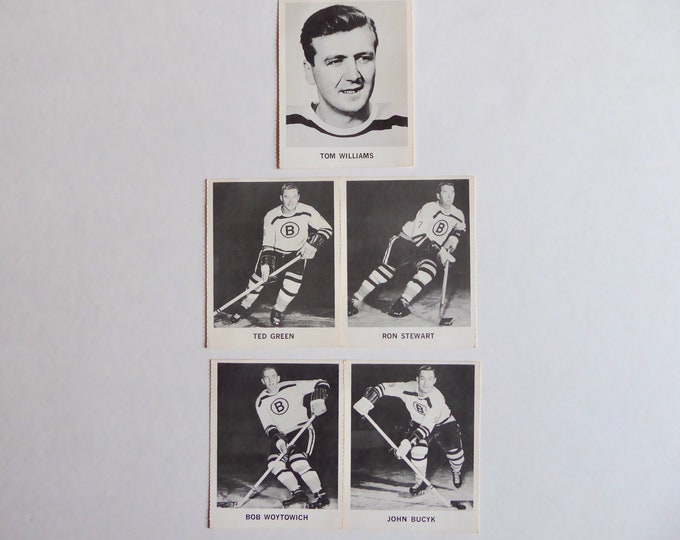 Lot Hockey NHL Coca-Cola 1965-1966 cards. Boston Bruins. John Buck. Bob Woytowich. Tom Williams. Ted green. Ron Stewart. Vintage hockey.