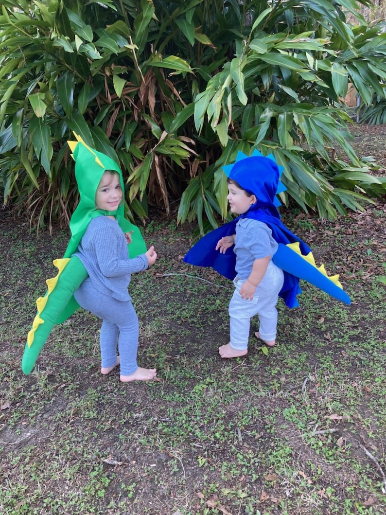 Dinosaur Tail Costume Accessory.