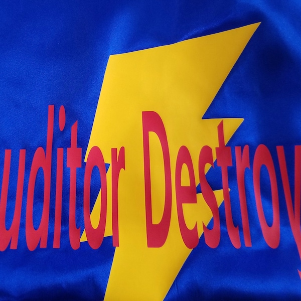 Adult Custom Superhero Cape with 1 or 2 words plus shape! Custom Wording. Office Gift. Corporate Gift. Corporate Party. Free Shipping.