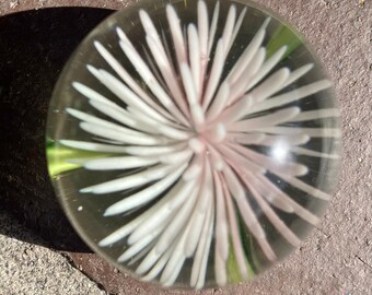 May include: A clear glass paperweight with a white and pink flower design inside. The flower has a starburst shape with white petals and a pink center.