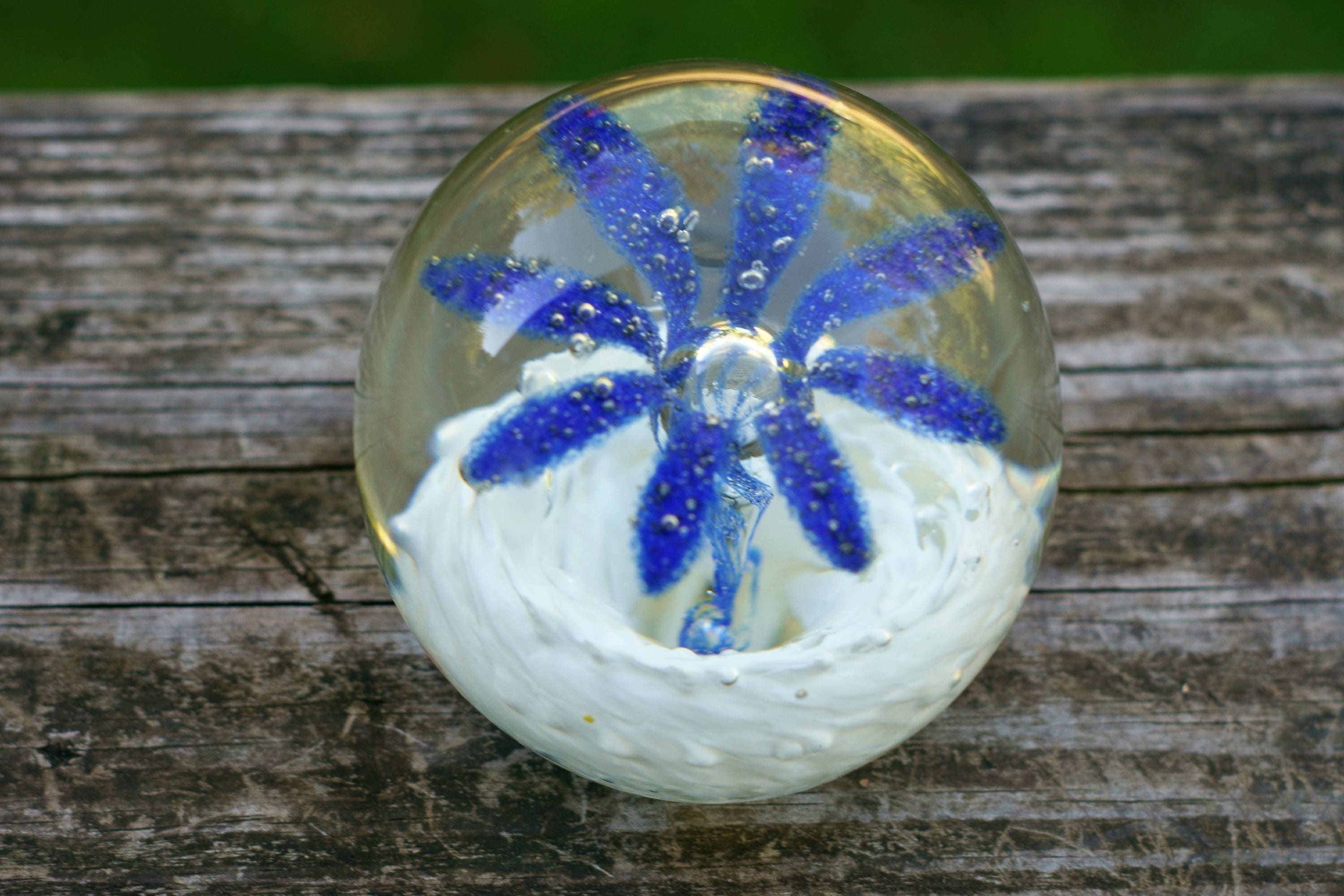 Beautiful Vintage Clear Paperweight with Blue and White Flower Etsy
