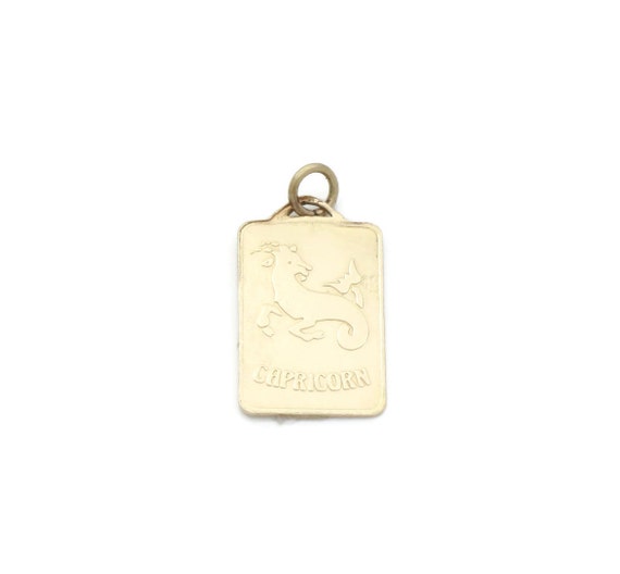 Vintage Capricorn Pendant, Zodiac Pendant, Caprico
