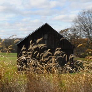 Gefaltete Grußkarten | Blanko Karten |  Boxed Set | Herbst Karten | Neu England Kunst | Grußkarten Herbst | Original Kunstwerk | 8 13x18 Karten