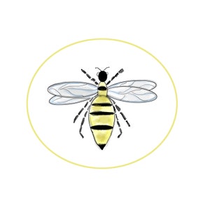 Tarjetas planas con forma de abejorro / Tarjetas en blanco / Notas de agradecimiento / Tarjetas para adjuntar como regalo / Juego en caja de 8 tarjetas planas de 4,5 x 5 / Temática de la naturaleza