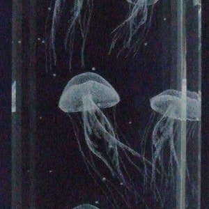 3D Laser design of several &quot;Jellyfish&quot; in Lenique Crystal