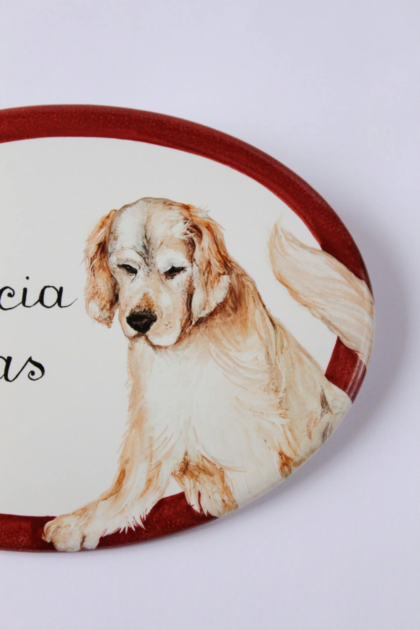 Targhe Personalizzate Per Cani Con Incisione Laser - 6