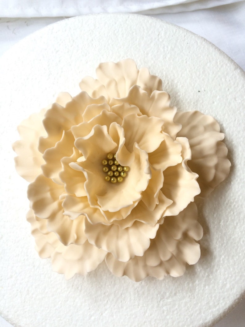 Fondant Flowers XL Ivory Peony Inspired Edible Fondant Etsy