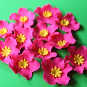 fondant flowers, 36 Hawaiian tropical hot Pink yellow cupcake cake pop topper toppers for wedding rose decorations tropical sweet 16 party