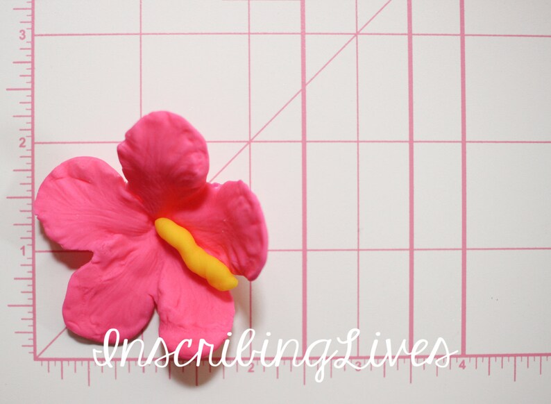 Hibiscus fondant flowers 6pcs hibiscus edible fiesta edible Etsy