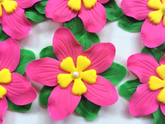 Fondant Flowers 12 Pink Luau Hawaiian Edible Flowers Cupcake Toppers Flower Cake Decorations Favors Quinceneara Flores Cinco De Mayo